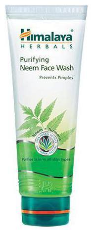 Buy Himalaya Purifying Neem Face Wash Online At Low Prices In India Paytmmall Com