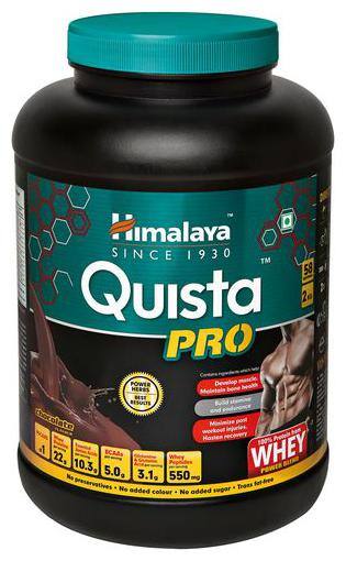 Buy Himalaya Quista Pro Advanced Whey Protein Formula Fortified With Power Herbs Chocolate 2 Kg Online At Low Prices In India Paytmmall Com