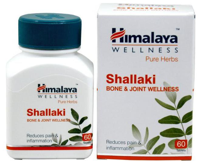 

Himalaya Shallaki - Tablets (Wellness) 60 pcs