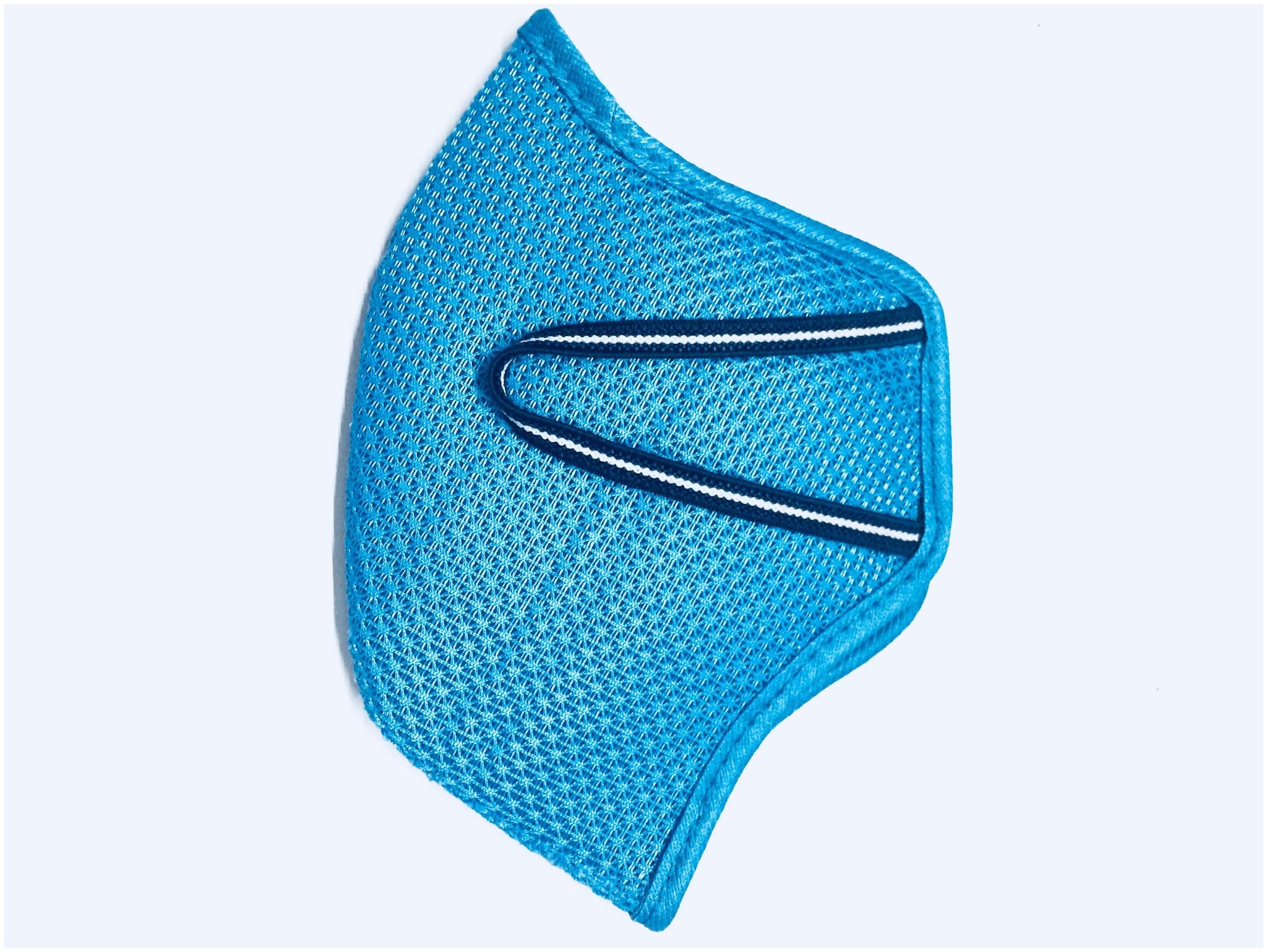 

Ideen Face Mask With Earloop Blue (Pack of 1)