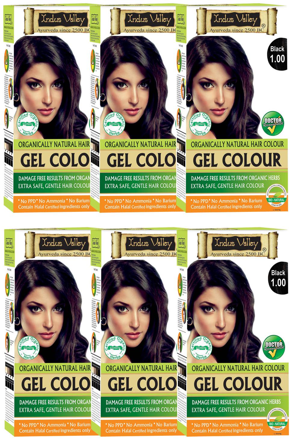 

Indus Valley Organically Natural Gel Black 1 00 One Touch Pack (6 Set) Hair Color