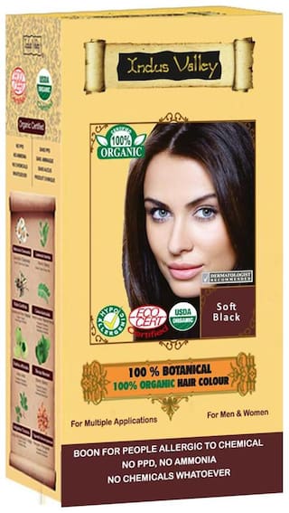 Buy Indus Valley 100 Organic Botanical Soft Black Hair Color