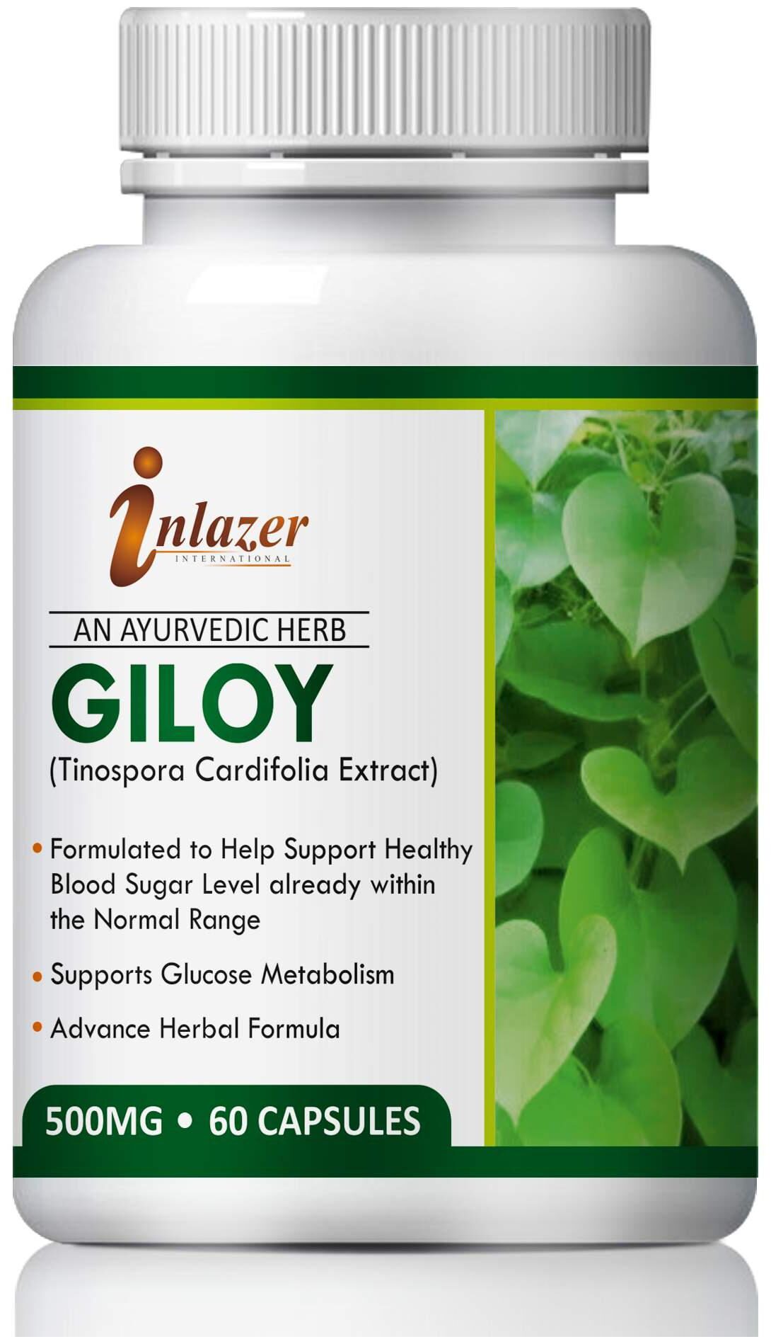 

Inlazer Giloy Herbal Capsules For Chronic Fever 500mg 100 Ayurvedic