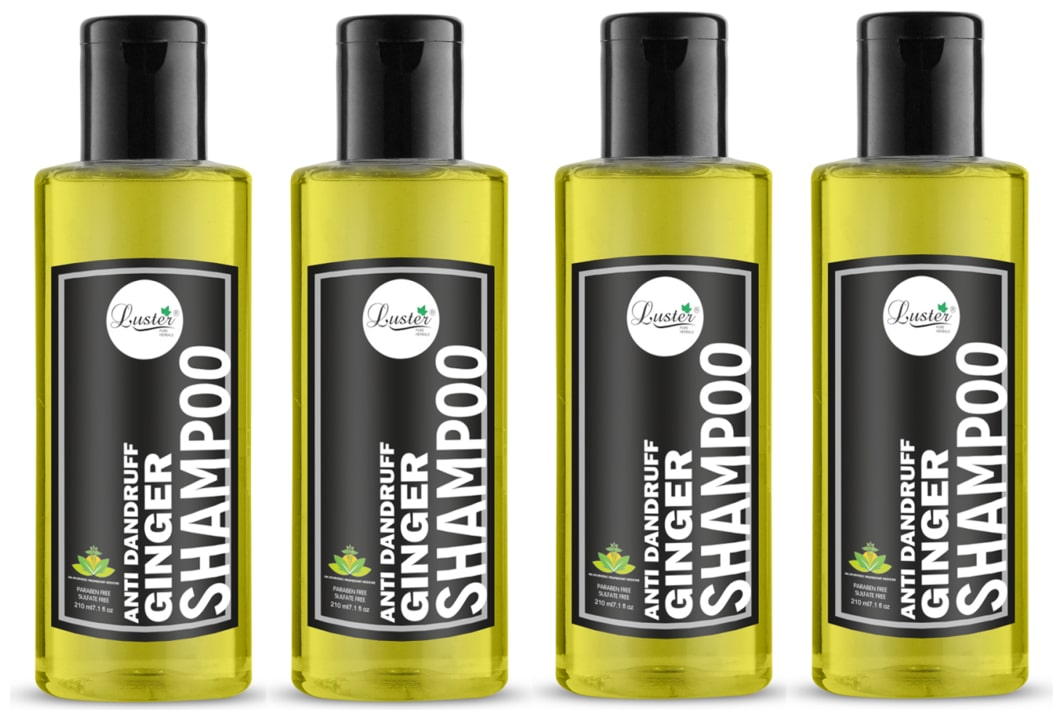 

Luster Ginger (Anti-Dandruff) Shampoo 210ml (Pack of 4)