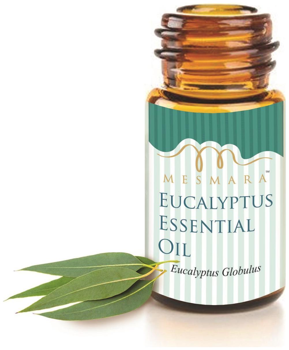 

Mesmara Eucalyptus Essential Oil 30 ml
