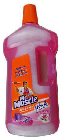 

Mr Muscle Floor Cleaner - Floral Perfection 1 L