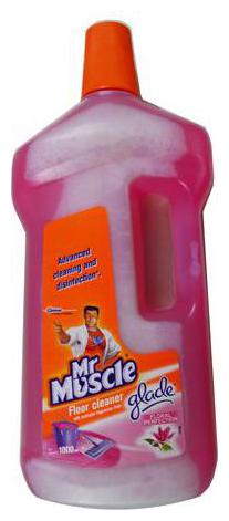 

Mr Muscle Floor Cleaner - Floral Perfection 1 L