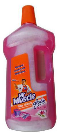

Mr Muscle Floor Cleaner - Floral Perfection 1 L