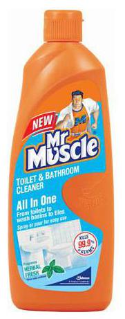 

Mr Muscle Toilet Bathroom Cleaner - Triple Action 450 ml
