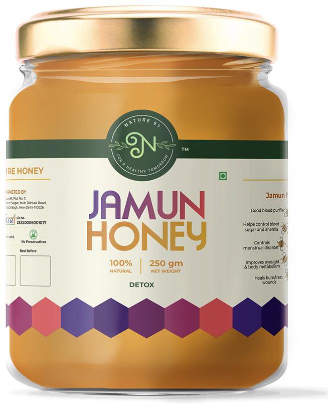 

Nature 91 Jamun Honey 250 g (Pack of 1)