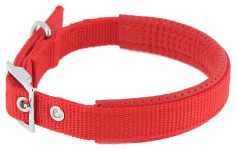 

NYLON DOG COLLAR WITHOUT PADDINGS 2 5 CMS