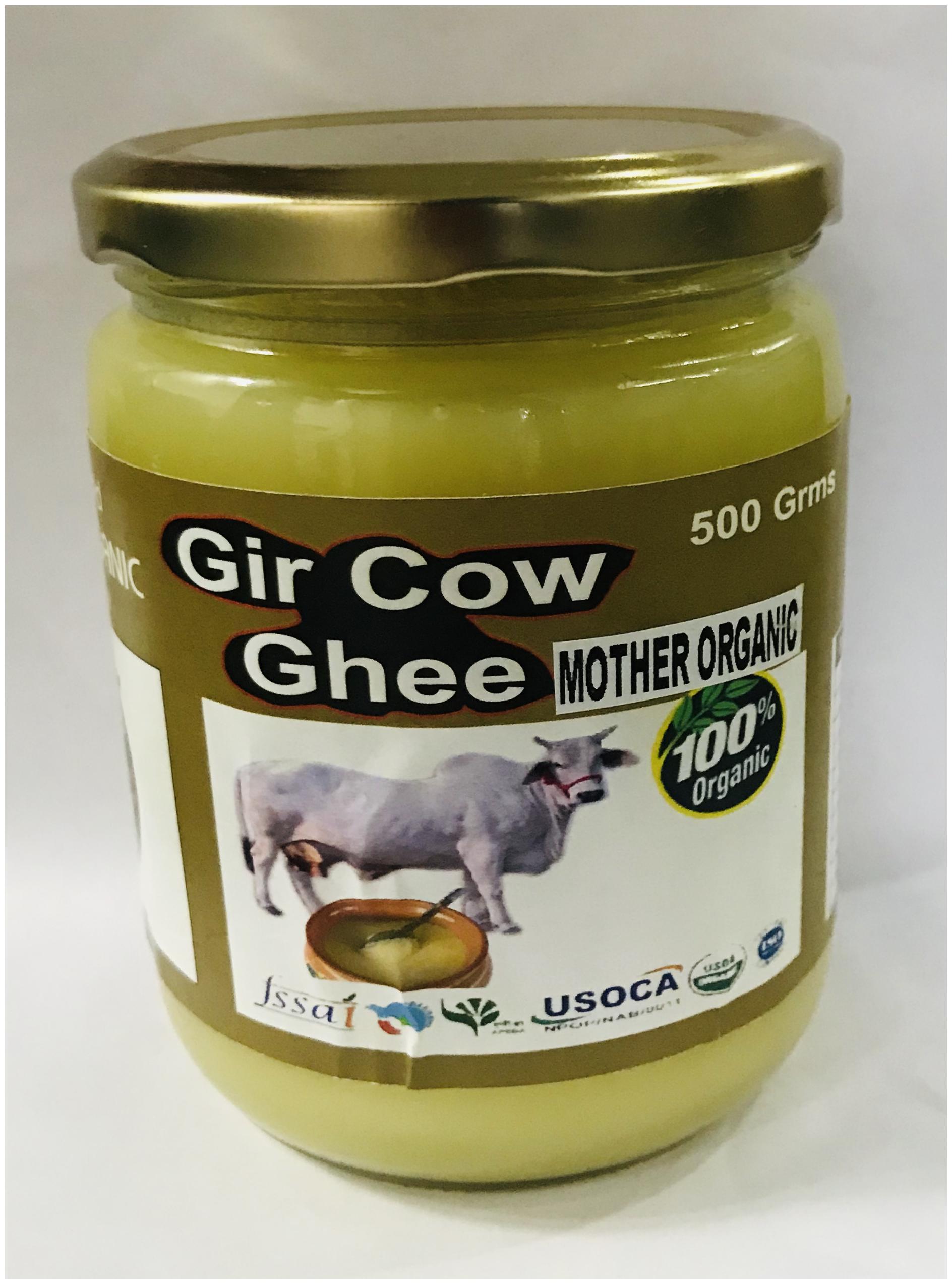 Buy Mother Organic Gir Cow Ghee 500 ML Online at Low Prices in India