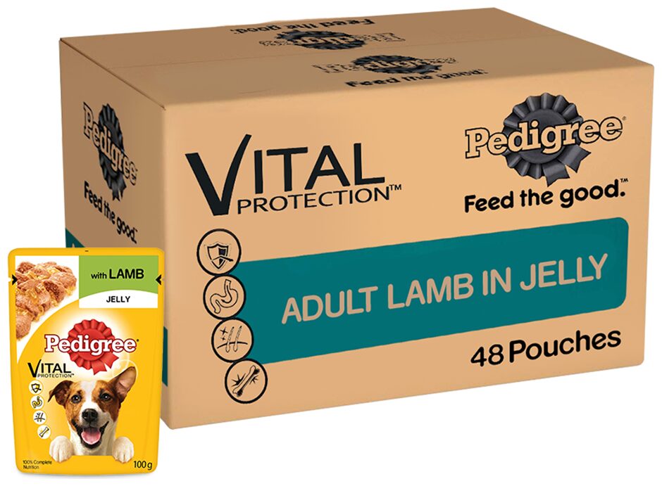 

Pedigree Vital Protection Adult Lamb in Jelly Wet Dog Food 100 g (Pack of 48)