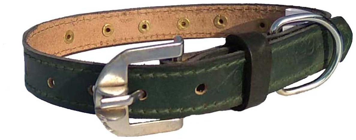 

Petlia Fits Dog Neck collar Size Large -19 TO 22 Inches for Adjustable