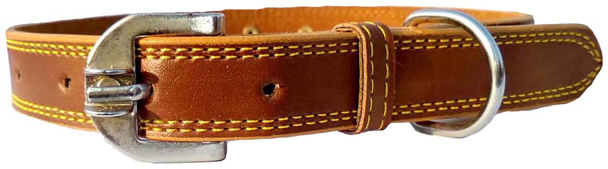 

Petlia Fits Dog Neck collar Size Large -19 TO 22 Inches for Adjustable