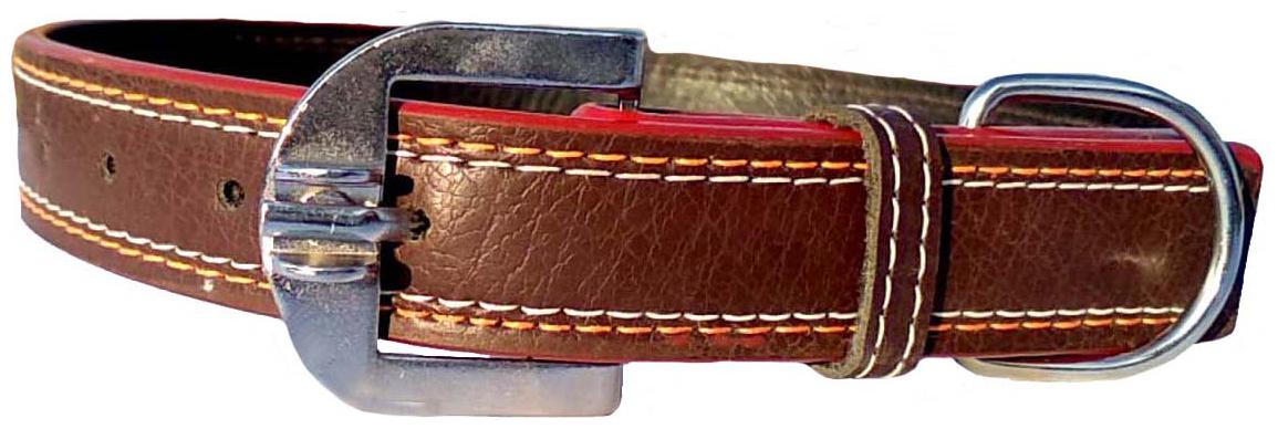

Petlia Fits Dog Neck collar Extra Large -21 TO 24 Inches for Adjustable