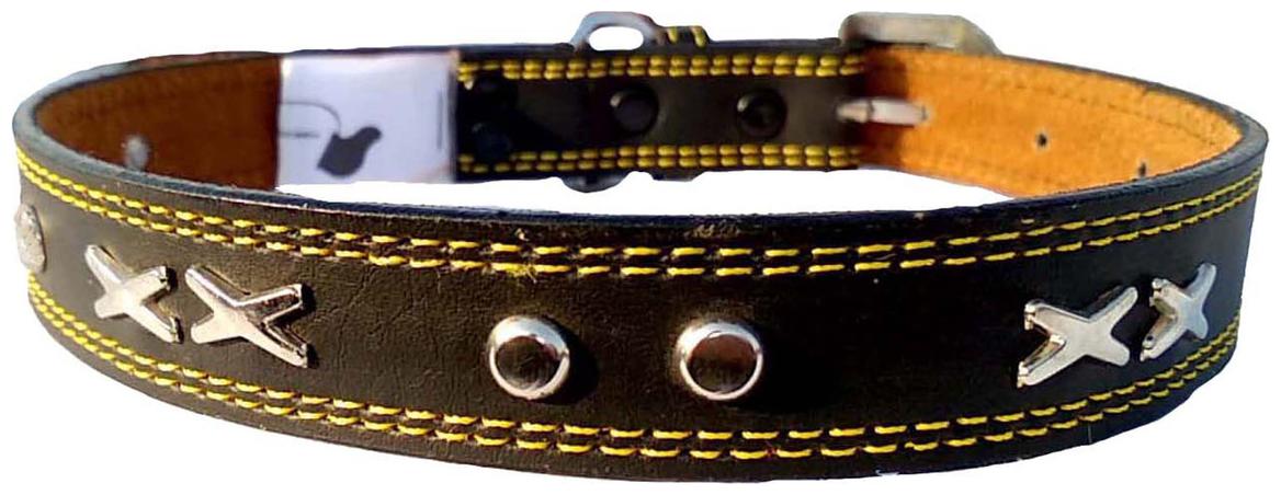 

Petlia Fits Dog Neck collar Extra Large -21 TO 24 Inches for Adjustable