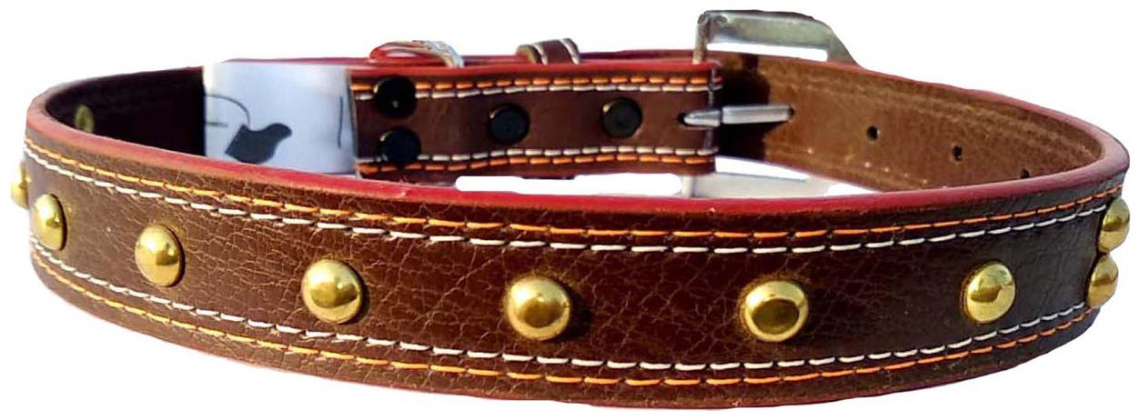 

Petlia Fits Dog Neck collar Size Large -19 TO 22 Inches for Adjustable