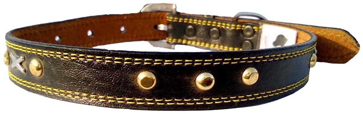 

Petlia Fits Dog Neck collar Size Large -19 TO 22 Inches for Adjustable