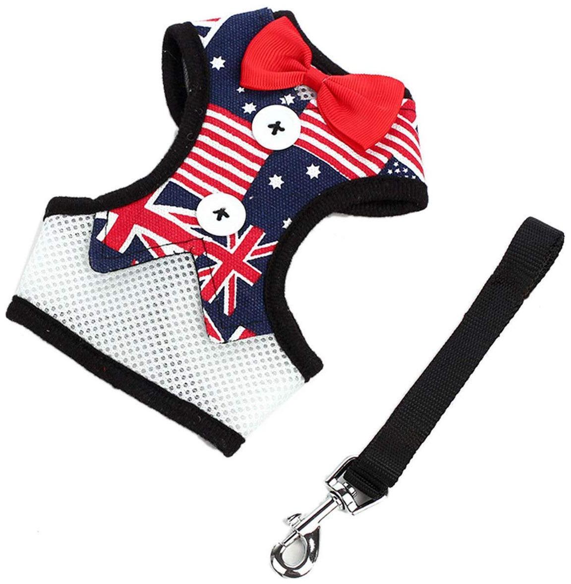 

Pets Empire Soft Breathable Air Nylon Mesh Puppy Dog Pet Cat Harness Leash Set Bowknot Cute (Large)