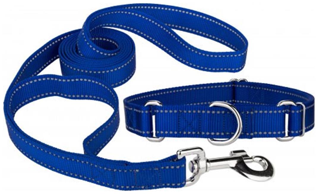

Pets Empire Nylon Pet Small Dog Tracking Basic Leash with Adjustable Collar Belt - Color May Vary Size Medium-20mm 1 pcs