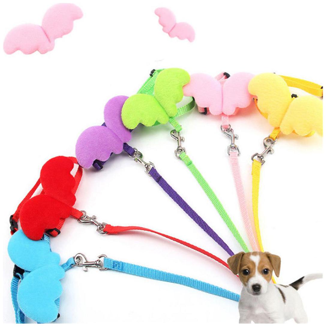 

Pets Empire Cute Angel Wing Dog Adjustable Harness Leash Traction Rope-1 Piece Color May Vary (Medium)