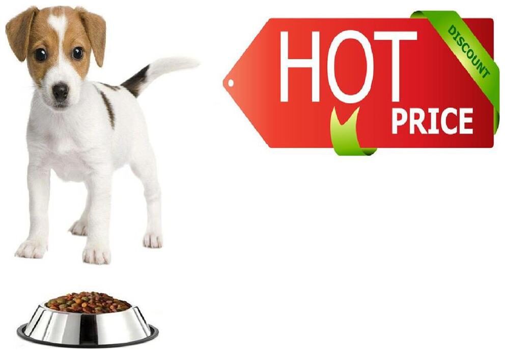 

Pets Empire Set Of 2 Stainless Steel Feeding And Water Bowl With Rubber Base For Cats Dogs Small Pets 250ml