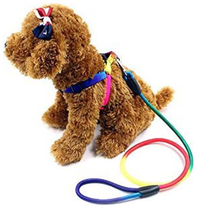 

Pets Empire 1Pcs Rainbow Color Dog Harness and Leash Weave Nylon Pet Rope Training Walking Leash (Medium)