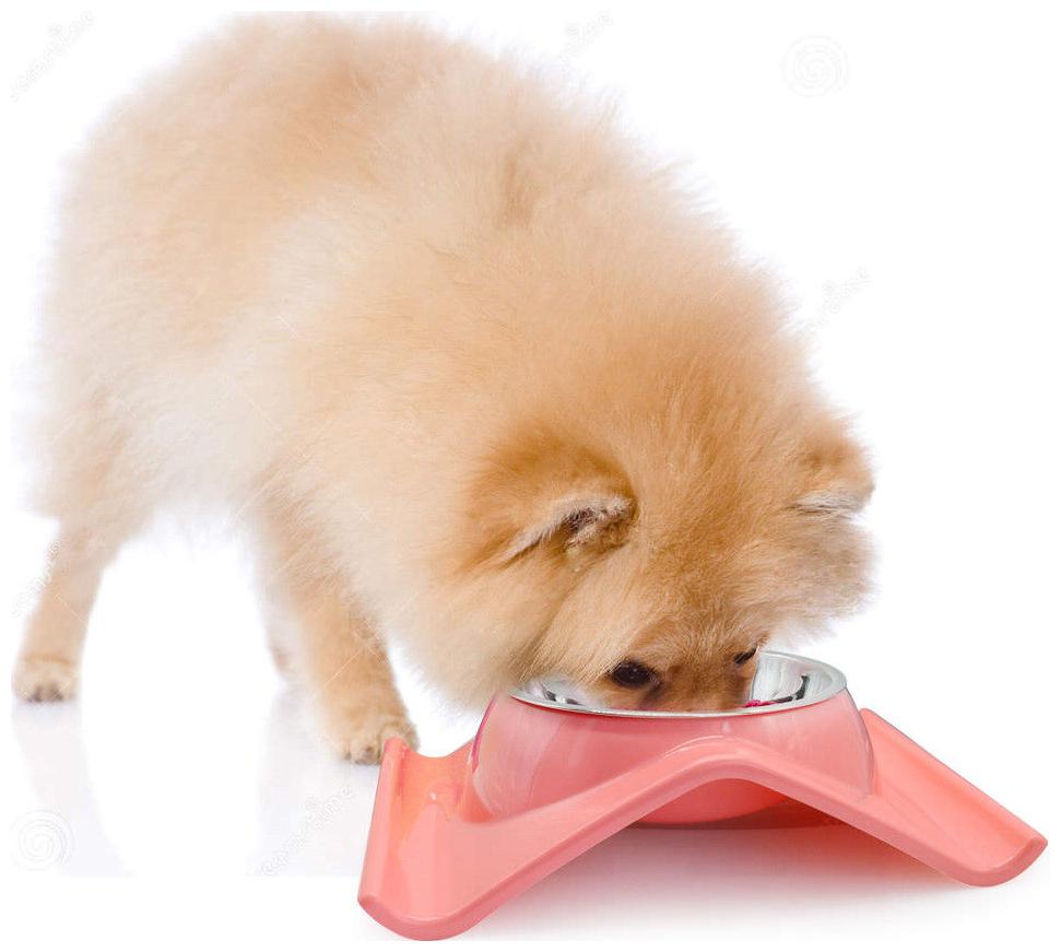 

Pets Empire Dog Bowl Plastic Stainless Steel Combo Puppy Cat Bowl Leak Proof Pet Food Dish Water Feeder Size 25 19 6cm (Pink) 1 pcs