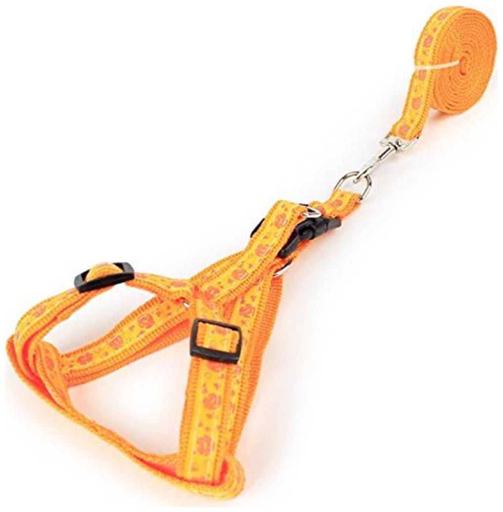 

Pets Empire Durable Safe Strong Soft Adjustable Matching Nylon Dog Harness and Leash Set for Small Puppies Great for Walking Training chest 25-35 cm Width 1 0 cm- Color Design Pattern May Vary 1 pcs