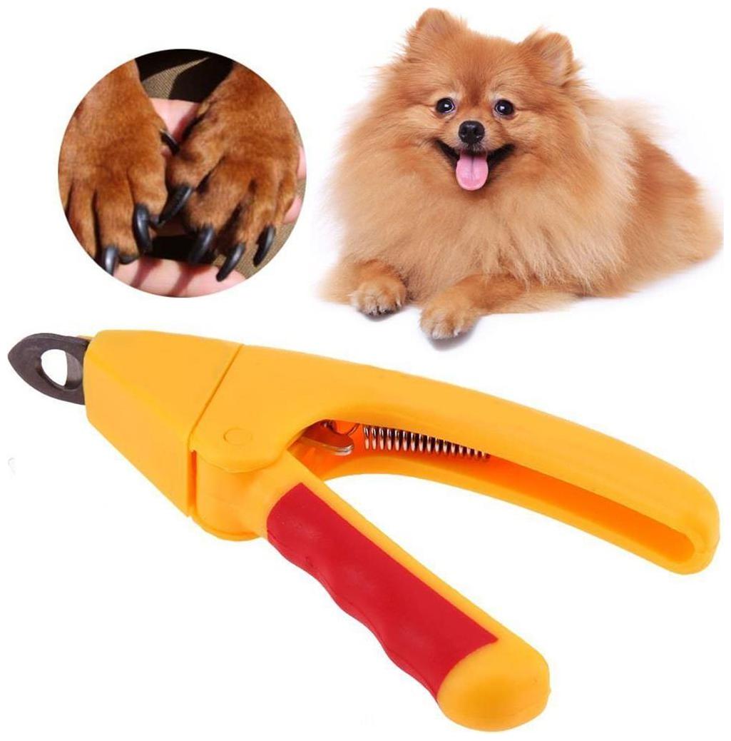 

Pets Empire Pet Nail Safety Cutter Tool Claws Scissor Pet Dog Nail File ToeTrimmer Large small Pet nail scissors 1 Piece Color May Vary