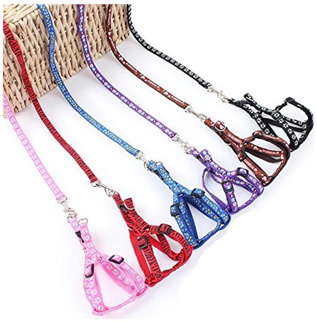 

Pets Empire Durable Safe Strong Soft Dog Harness and Leash Set for Small Puppies Great for Walking Training chest 25-35cm Width 1 0cm- Color Design Pattern May Vary 1 Piece Color May Vary
