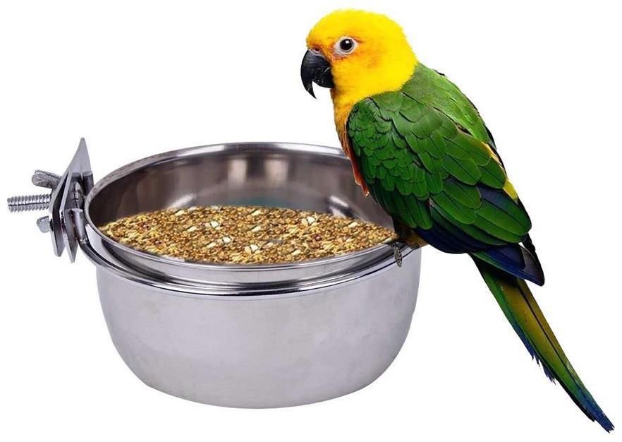 

Pets Empire Stainless Steel Birds Coop Cup Feeder Bowl with Clamp Holder 200 ml