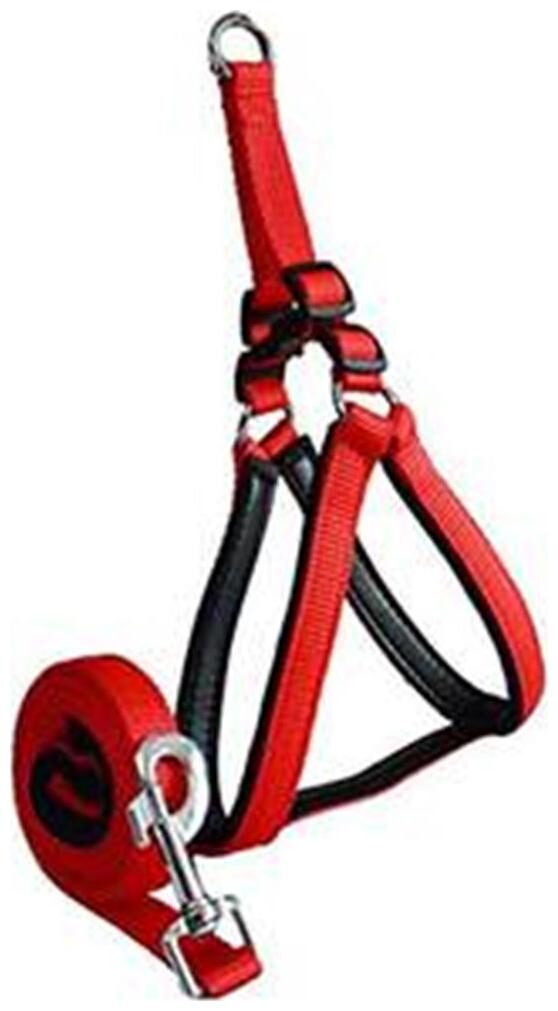 

Pets Empire Soft Padded Body Set-Leash Harness (Color May Vary) 1 Set (Small)