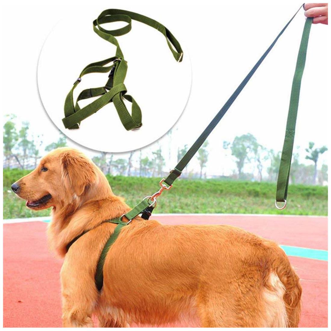 

Pets Empire Reflecting Neon Fluorescent Color Safety Nylon Harness (Lead Included) for Pet Dogs Size- Medium Long 120 cm Width 20mm Adjustable 25--40cm - 1 set Color May Vary