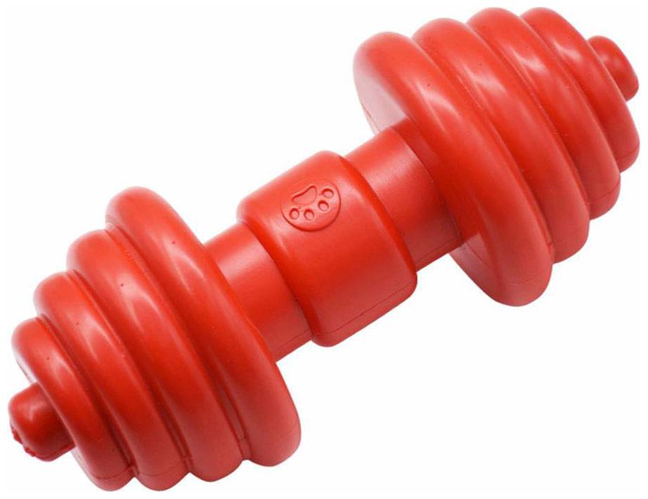 

Pets Empire Red Iron-Wag Durable Water Floating Chew and Fetch Dog Toy