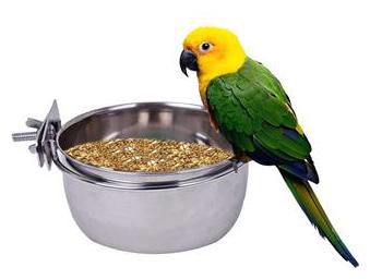 Buy Pets Empire Stainless Steel Birds Coop Cup Feeder Bowl With