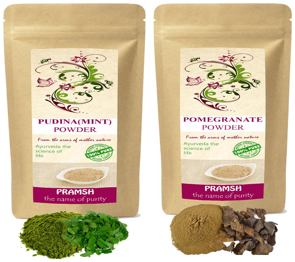 

Pramsh Traders Premium Quality Pudina Mint 300g Pomegranate 300g Powder Combo (Pack of 2)