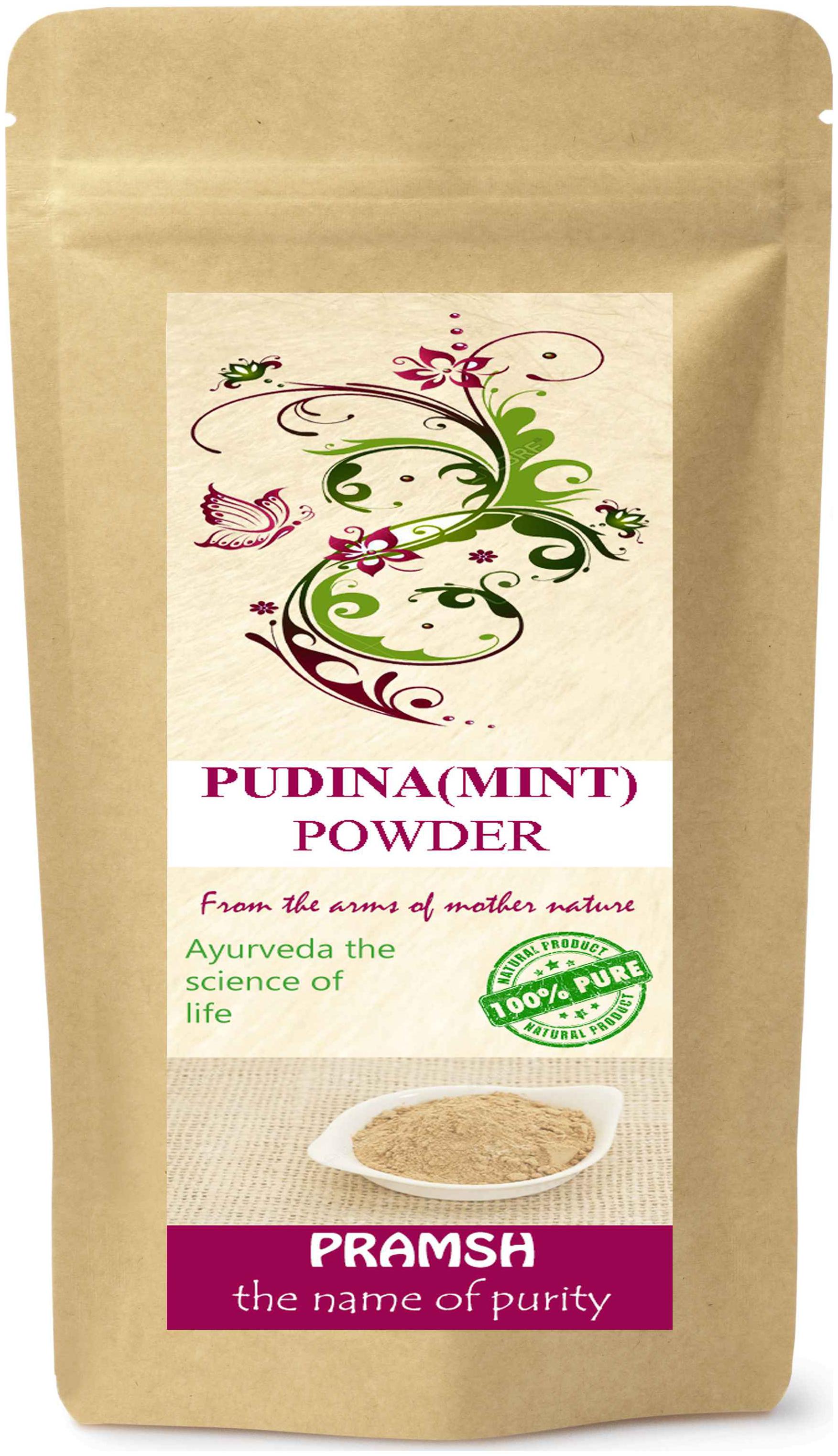 

Premium Quality Pudina Powder 400g