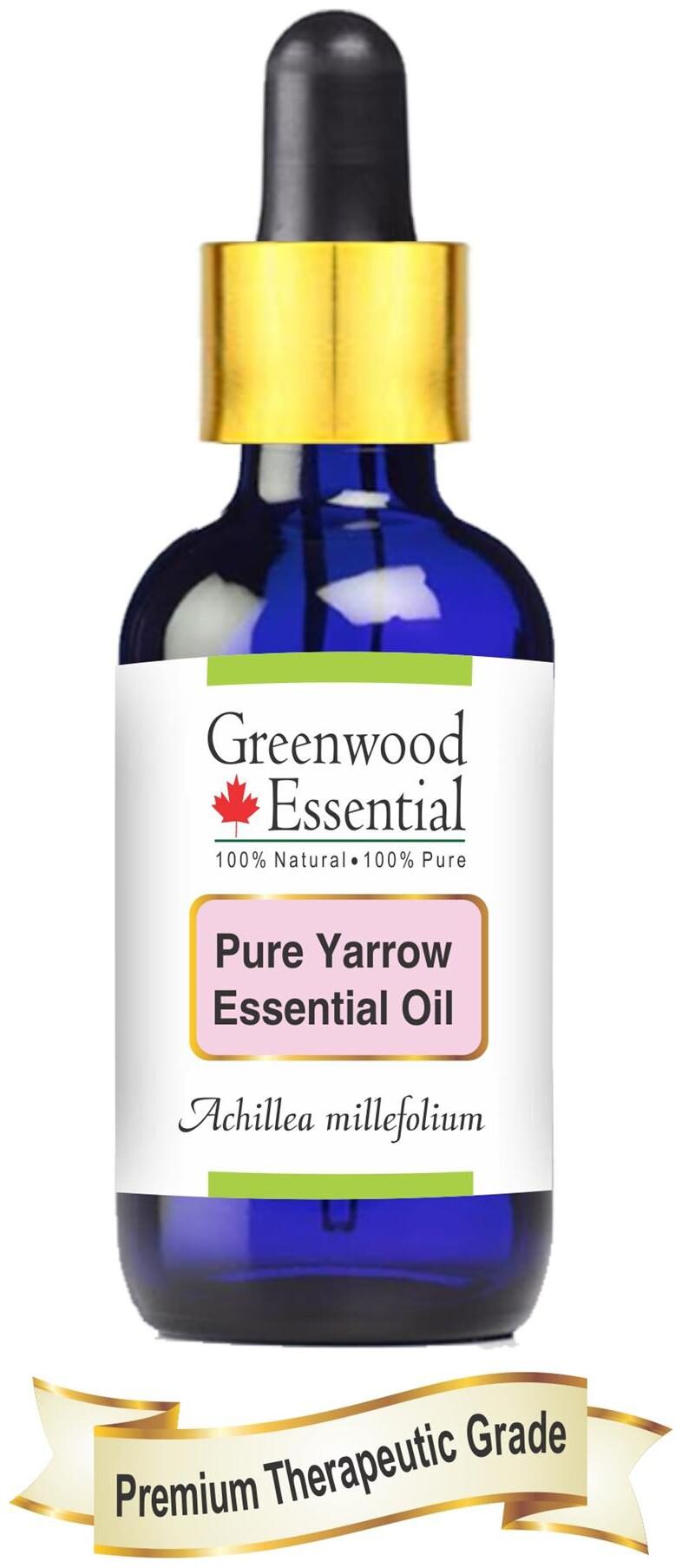 

Greenwood Essential Pure Yarrow Essential Oil (Achillea millefolium) with Glass Dropper 100 Natural Therapeutic Grade Steam Distilled 5ml