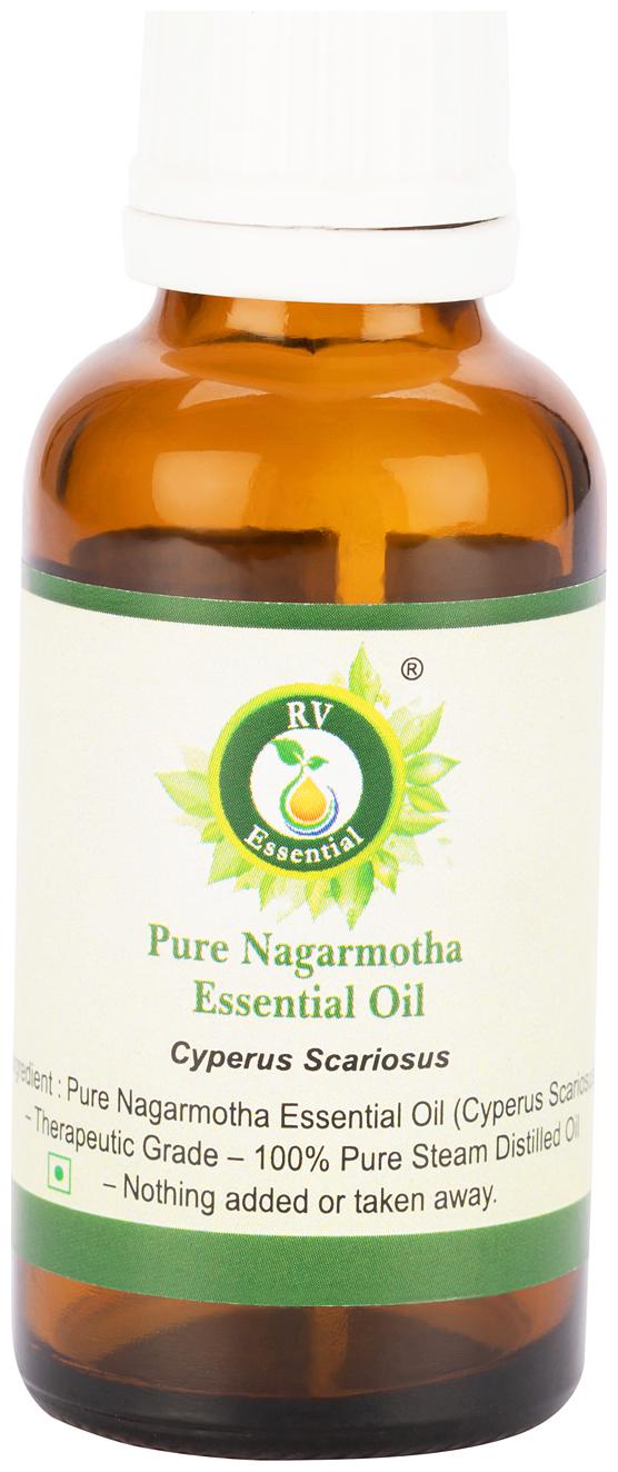 

R V Essential Pure Nagarmotha Essential Oil 30ml- Cyperus Scariosus (100 Pure and Natural Steam Distilled)