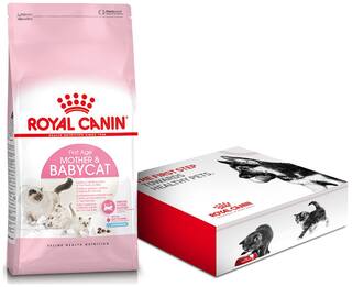 Buy Royal Canin Mother Babycat Dry Cat Food 2kg 1 Free Kit Online At Low Prices In India Paytmmall Com