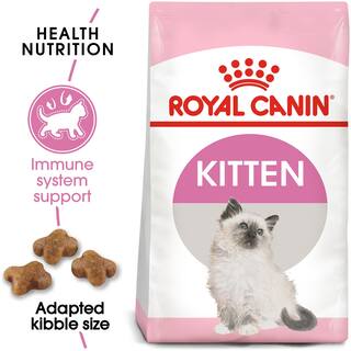 Buy Royal Canin Kitten Dry Cat Food 2 Kg Online At Low Prices In India Paytmmall Com