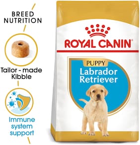 Dog Food Pedigree Dog Food Online At Best Price Paytmmall Com