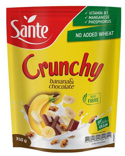 

Sante Wholegrain Oat Flakes - Crunchy Banana with Chocolate 350 g
