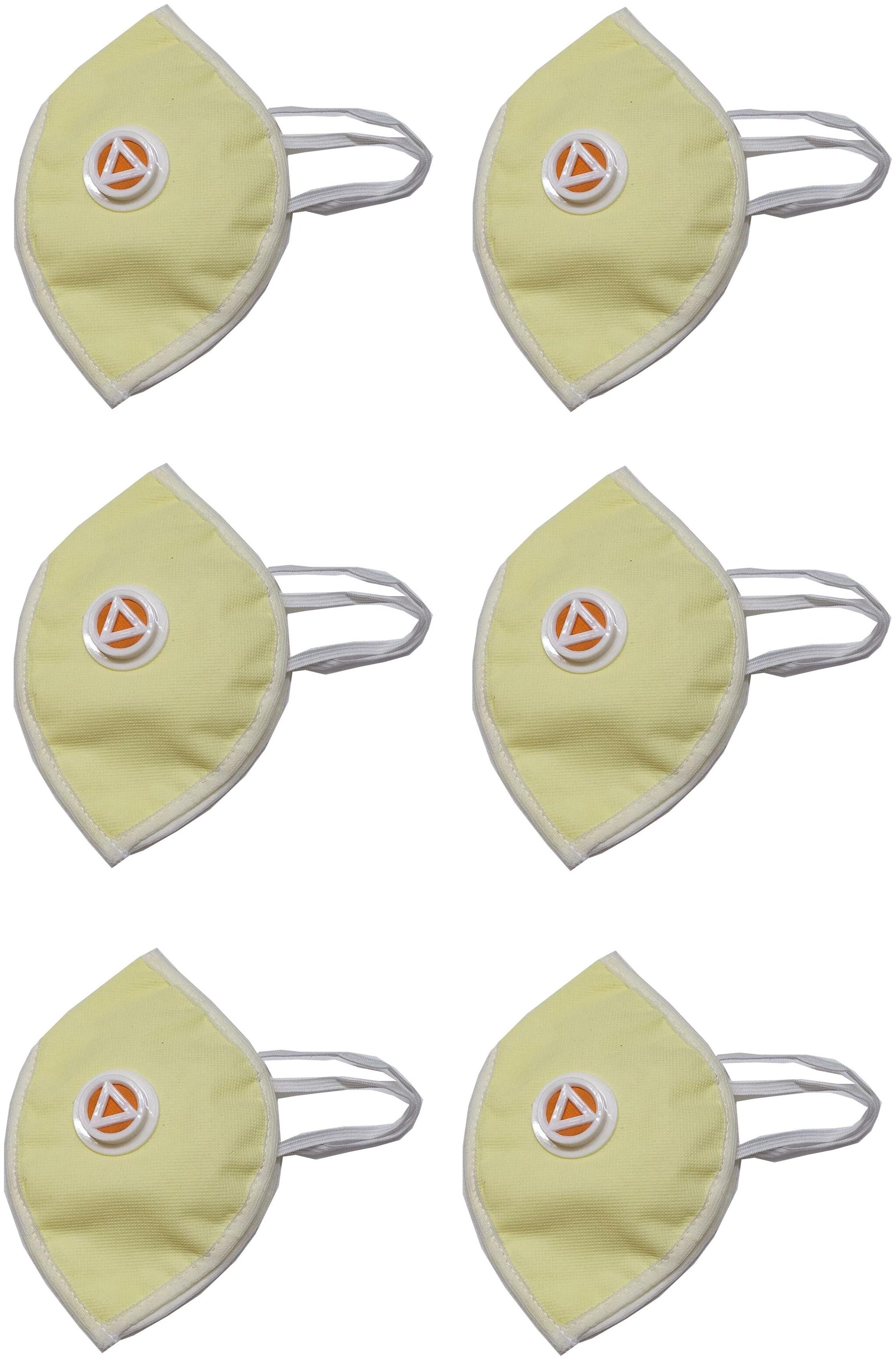

Shop Shoppee Face Mask With Earloop Breathable Respiratory High Quality (Pack of 6)