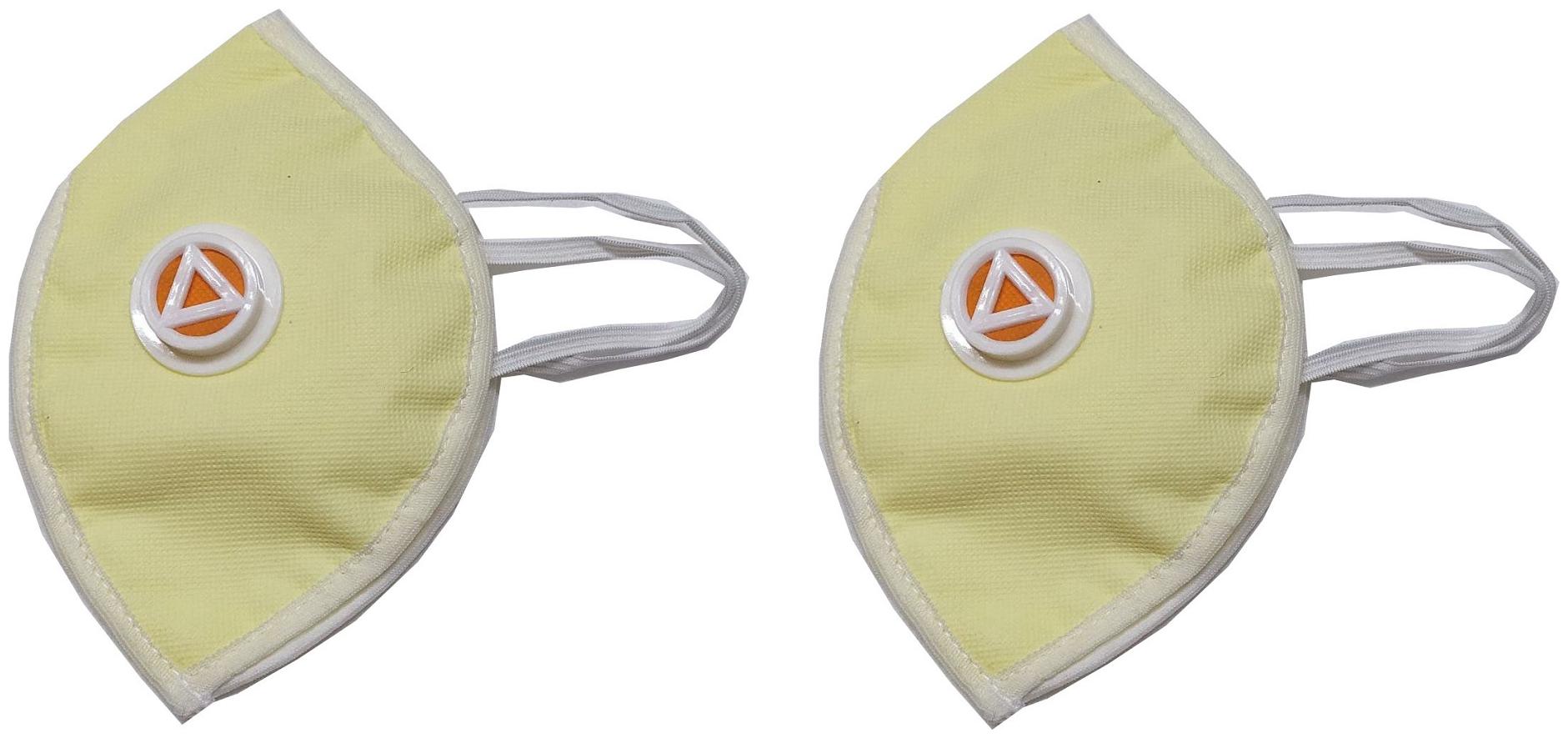 

Shop Shoppee Face Mask With Earloop Breathable Respiratory High Quality (Pack of 2)