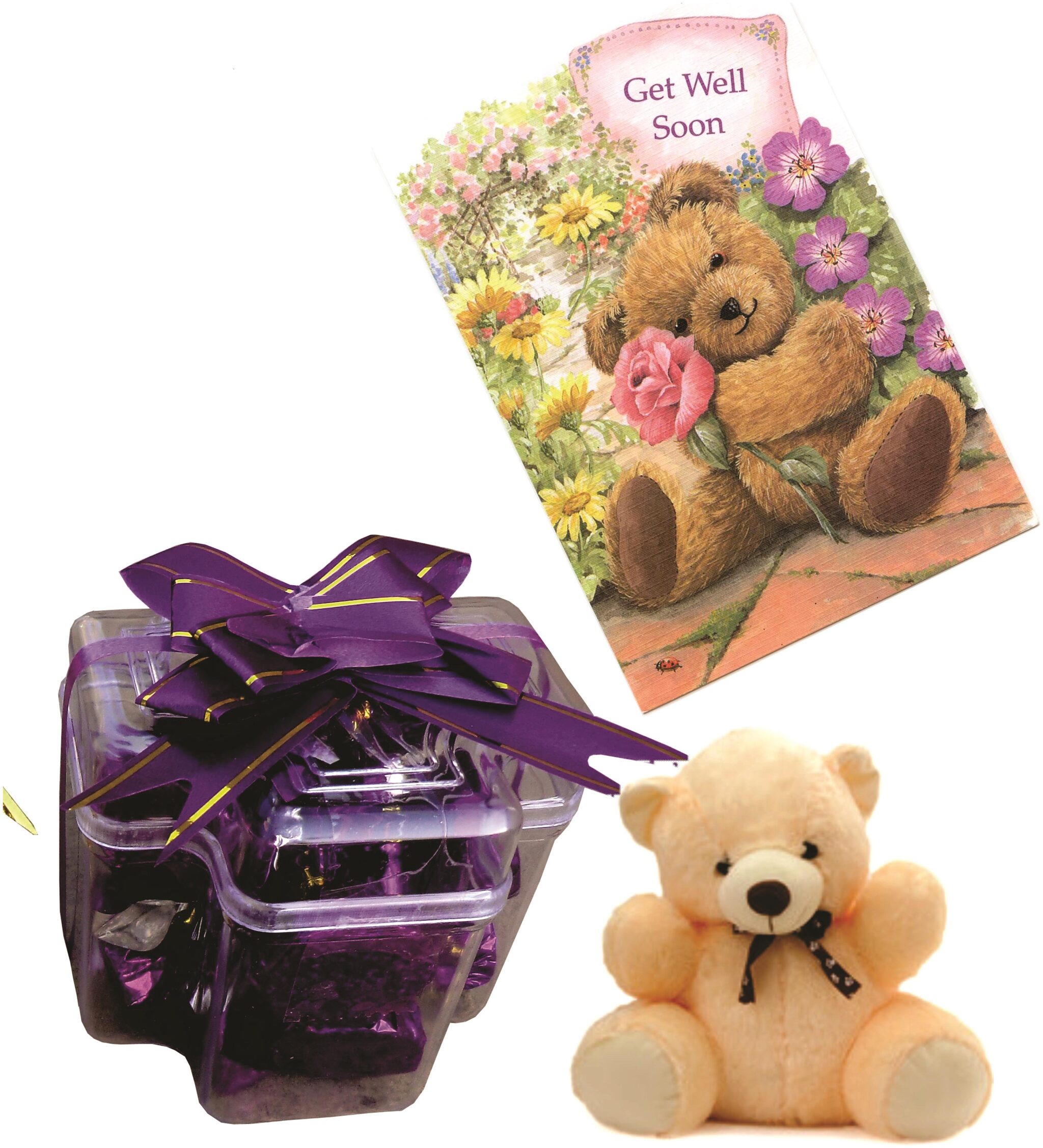 

Skylofts Stylish chocolate pack with Teddy and a GET WELL SOON greeting Card