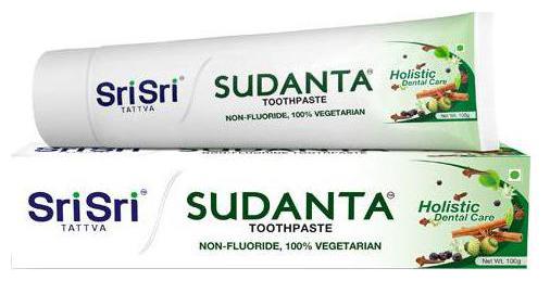 

Sri Sri Tattva Sudanta Toothpaste - Holistic Dental Care 100 g