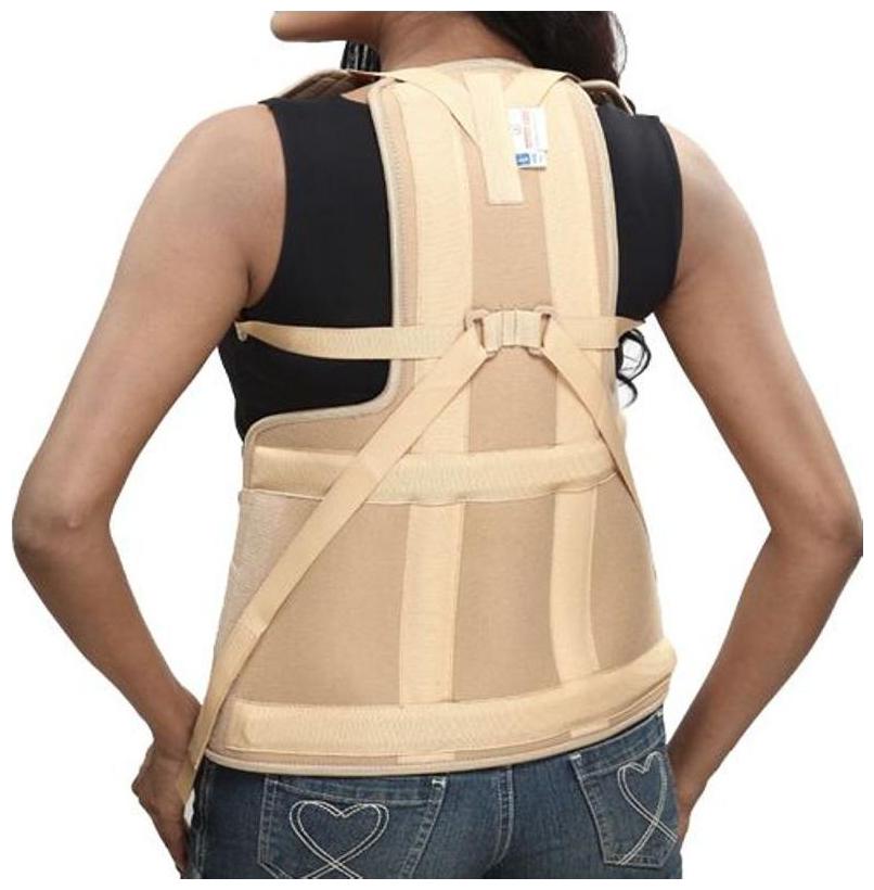 

Taylor Brace(Small)
